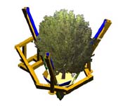 TREE SPADE PLAN