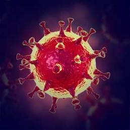 https://www.stopworldcontrol.com/wp-content/uploads/2020/09/coronavirus-1.jpg